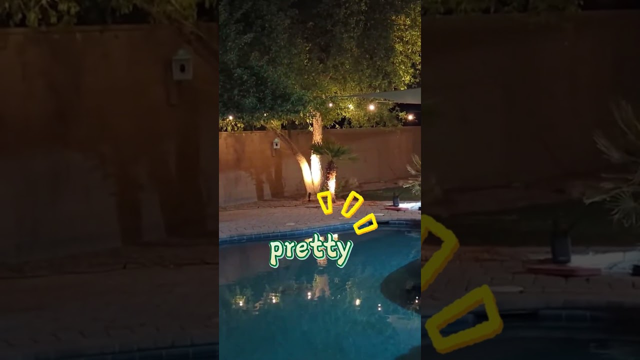 Gardenreet Spotlight | Best Placement for Palm Uplights 🌴🎯