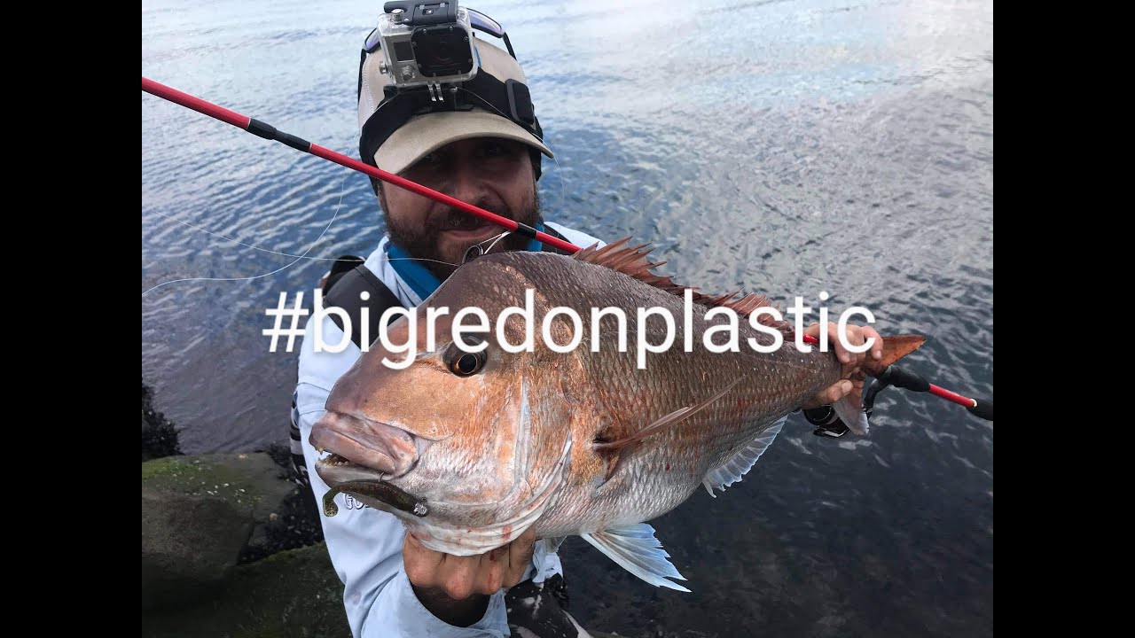 LAND BASED SNAPPER ON SOFT PLASTICS - GEAR SELECTION