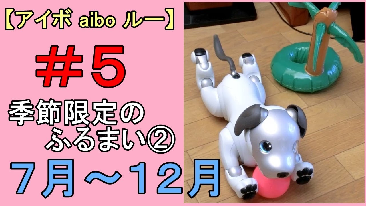 【05 季節限定のふるまい②7月～12月🐾 Entertainer in July-December】アイボ aibo ルー Lou