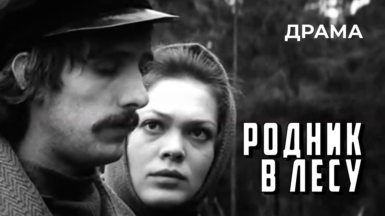 Родник в лесу (1973 год) драма