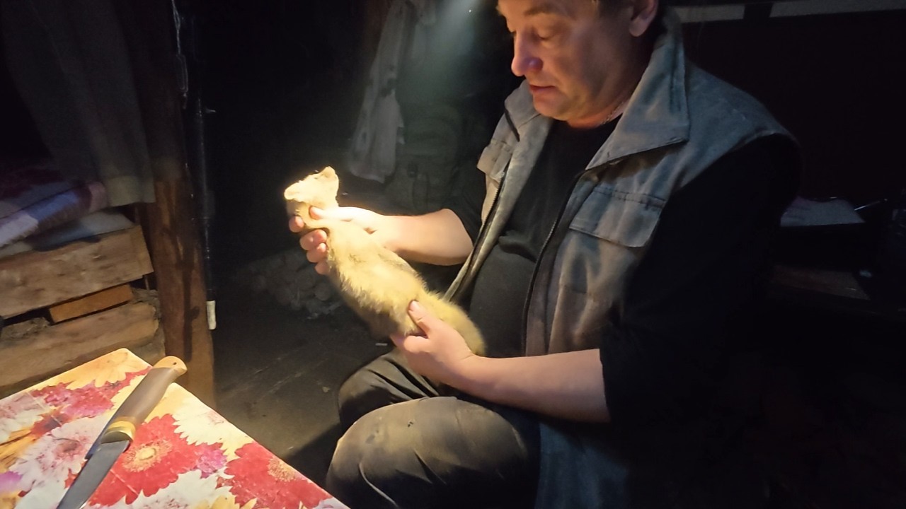 Удачный выезд. Есть рыба и соболя.