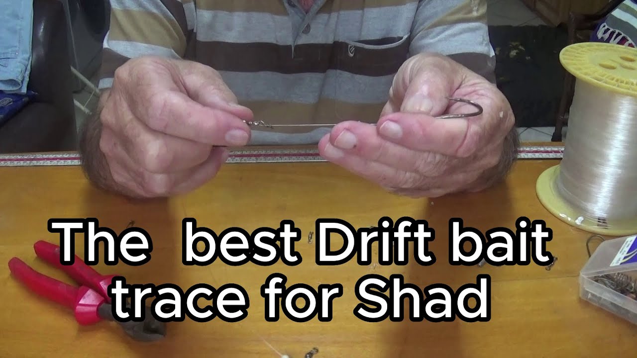 Drift bait trace for shad