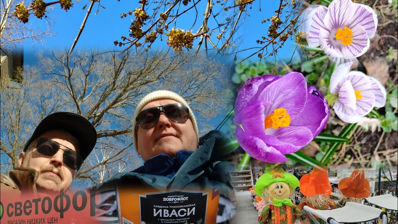 Сходили в СФР//Покупки в магазинах Восток, Светофор и Ярче//Продали чемодан
