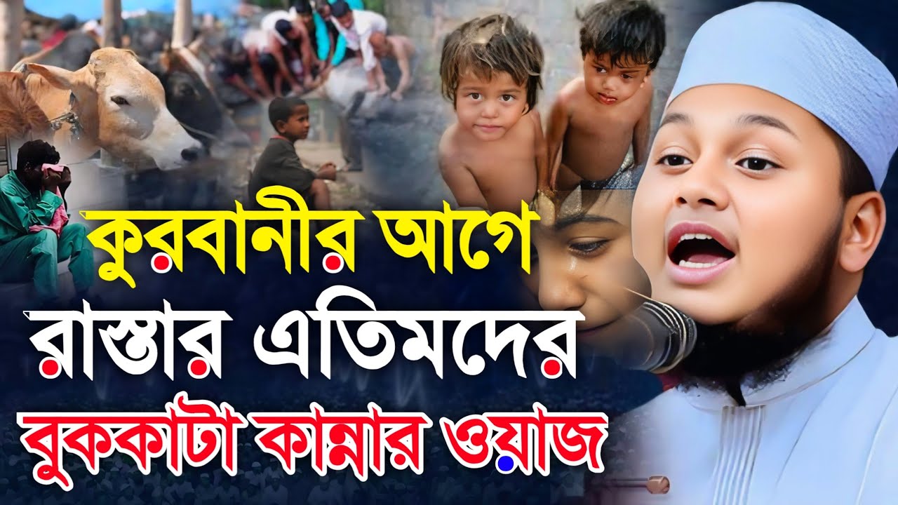 কুরবানীর আগে শুনুন  রাস্তার এতিমদের বুকফাটা কান্নার ওয়াজ || Qari Junaid Al Habib Comilla