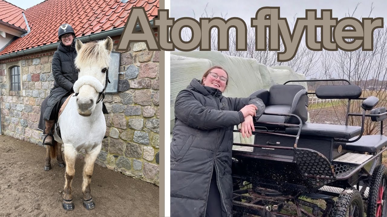 Atom Og Jeg Flytter Hjem Igen