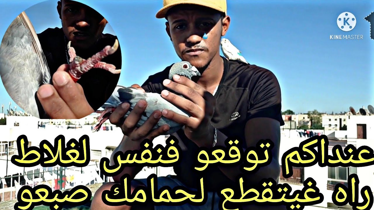 ها علاش كتقطع للحمام رجلهم لهاد الاسباب☝️+الإجابة على كاع الاسئلة❤🕊