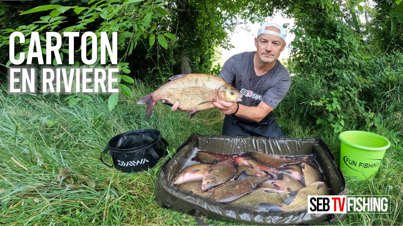 Cette rivière est remplie de gros poissons ! GROSSES BREMES au feeder sur ce nouveau spot !