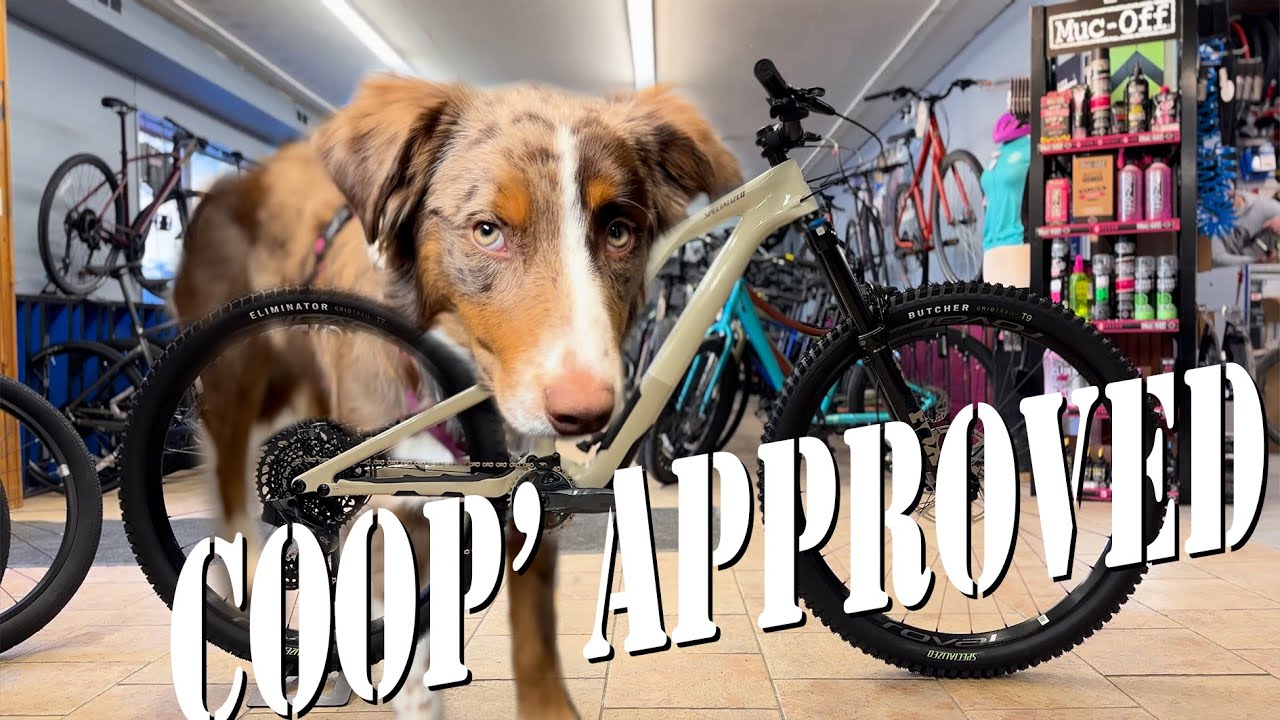 2023 STUMPY EVO EXPERT BUILD
