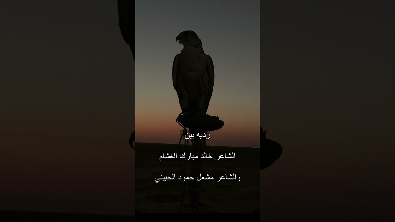 ردية خالد الغشام و مشعل الحبيني