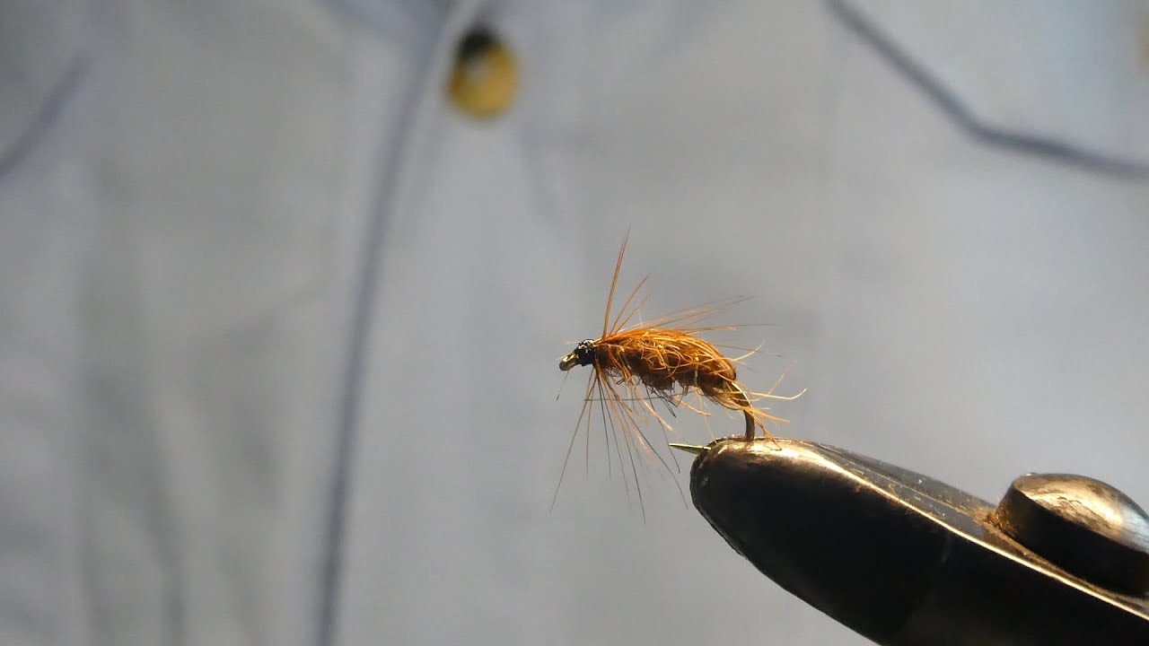 Montage mouche Sedge Pupe Roux / Fly assembly