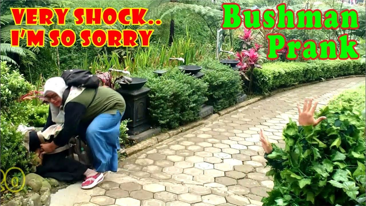 Reaksi tak terduga || Bushman prank