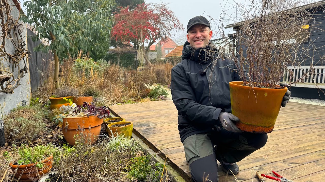 January Garden + Meet Our Greenhouse King Quails | Perennial Garden