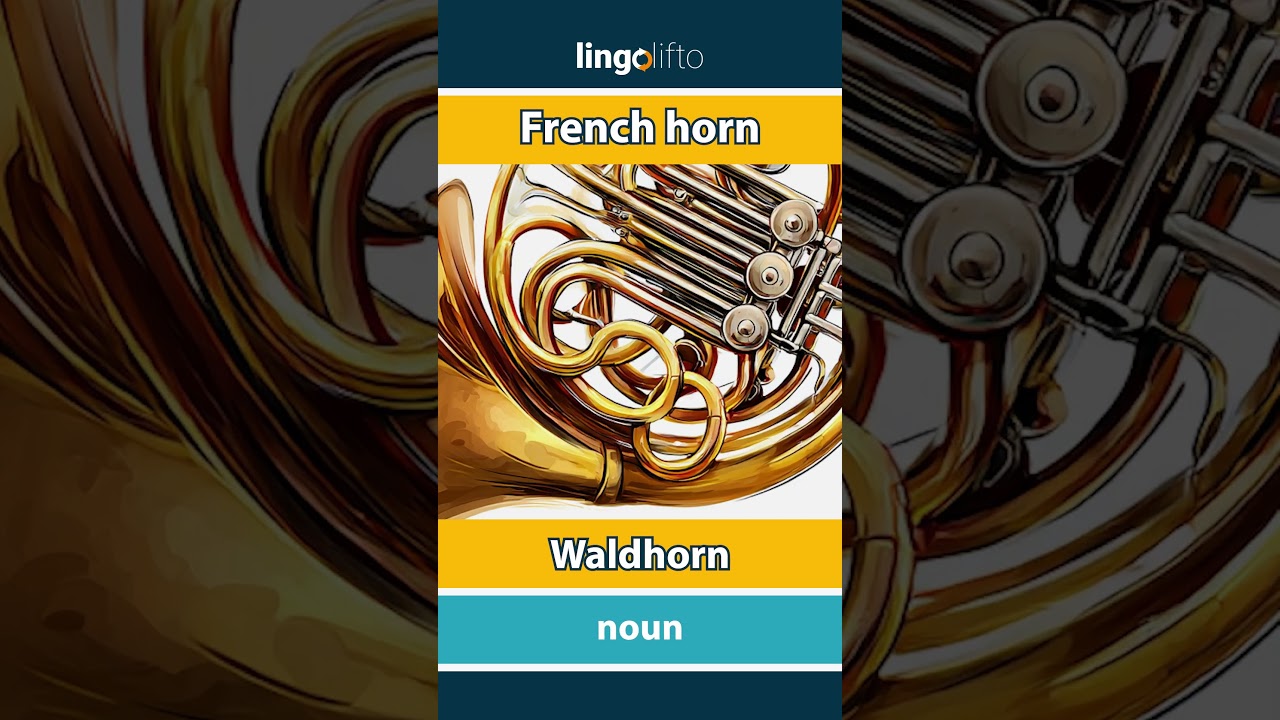🇬🇧🇩🇪 French horn - Waldhorn : learn English : Lernen wir Englisch : vocabulary builder