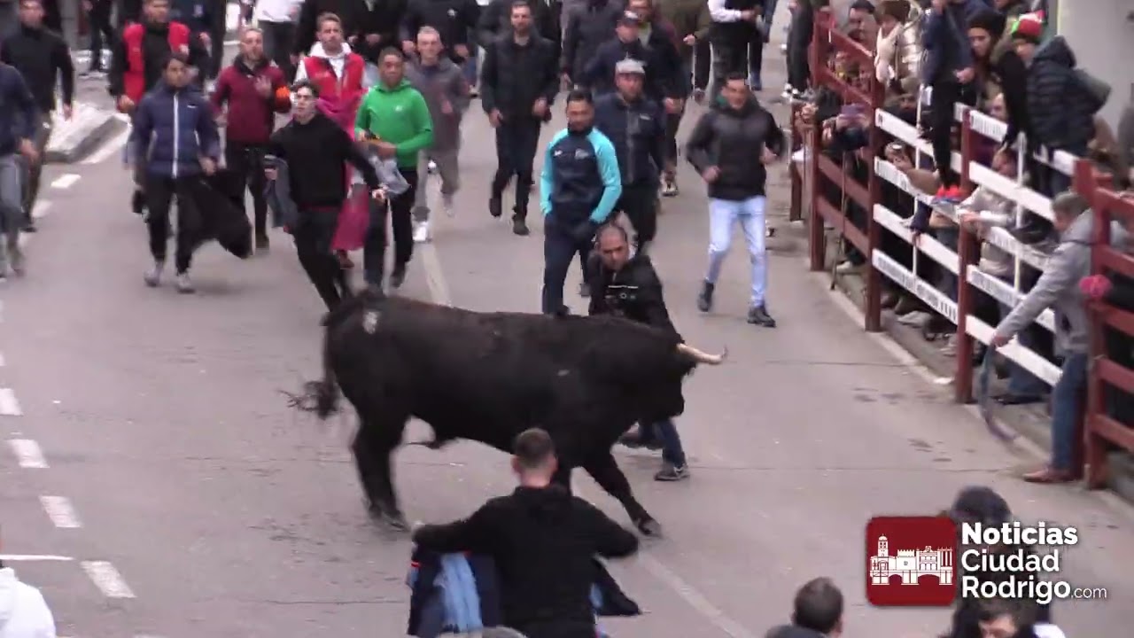 Toro de San Sebastián 2026