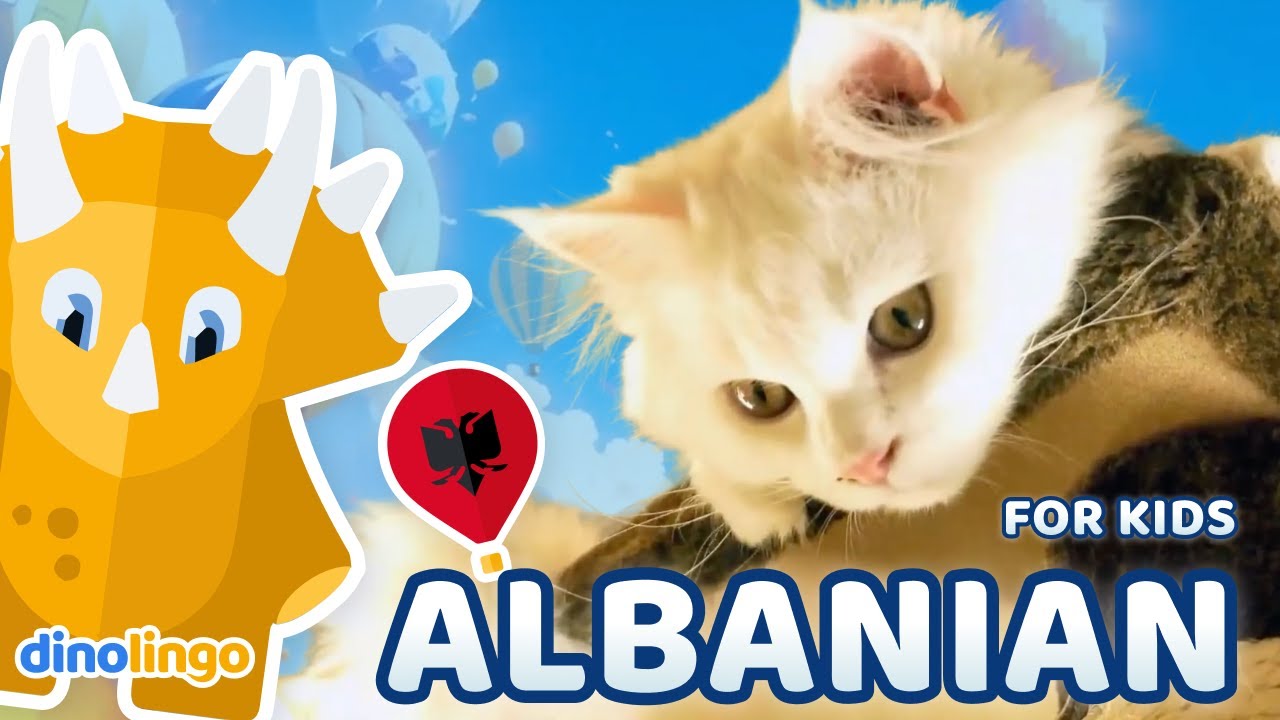 Learn Albanian for Kids: Animals | Online Albanian Lessons for Children