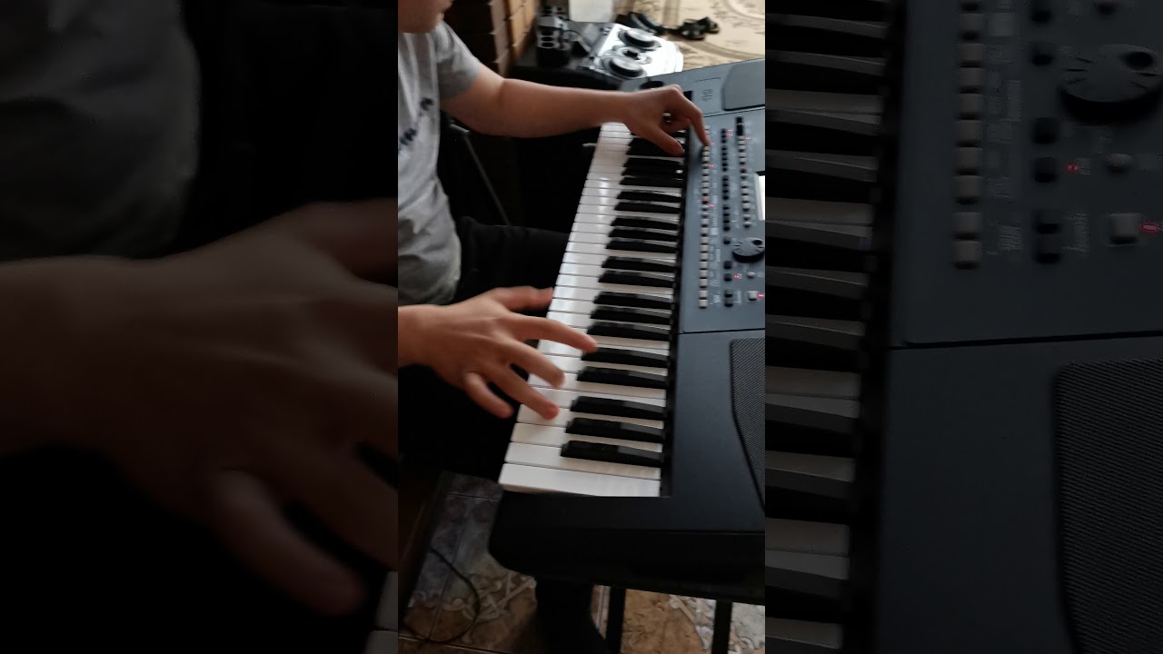 Полька korg 2020
