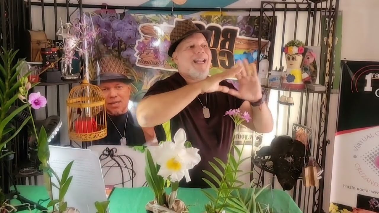 Boot Camp 0050: Luminosidad en Nuestras Orquídeas