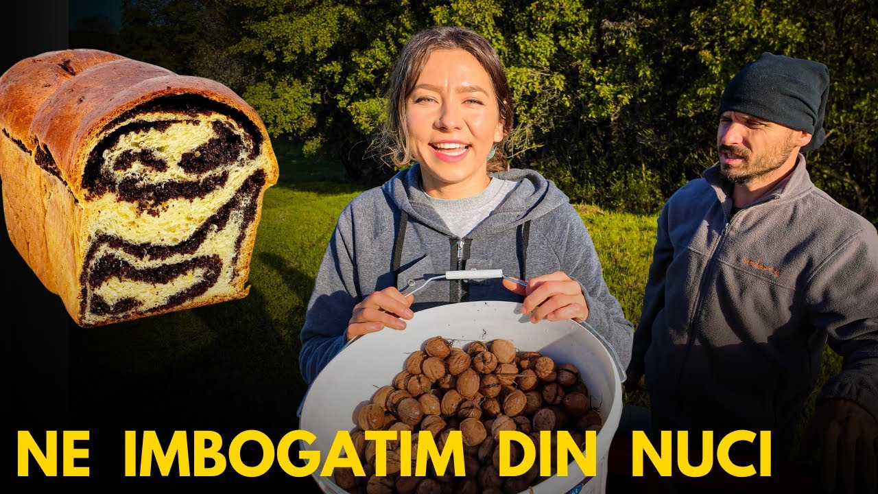 Luam comenzi de cozonac?