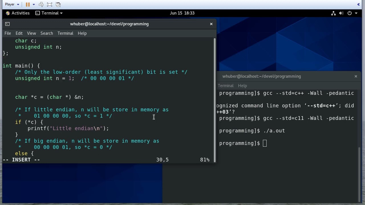Checking for Endianness Using C - Big Endian vs Little Endian