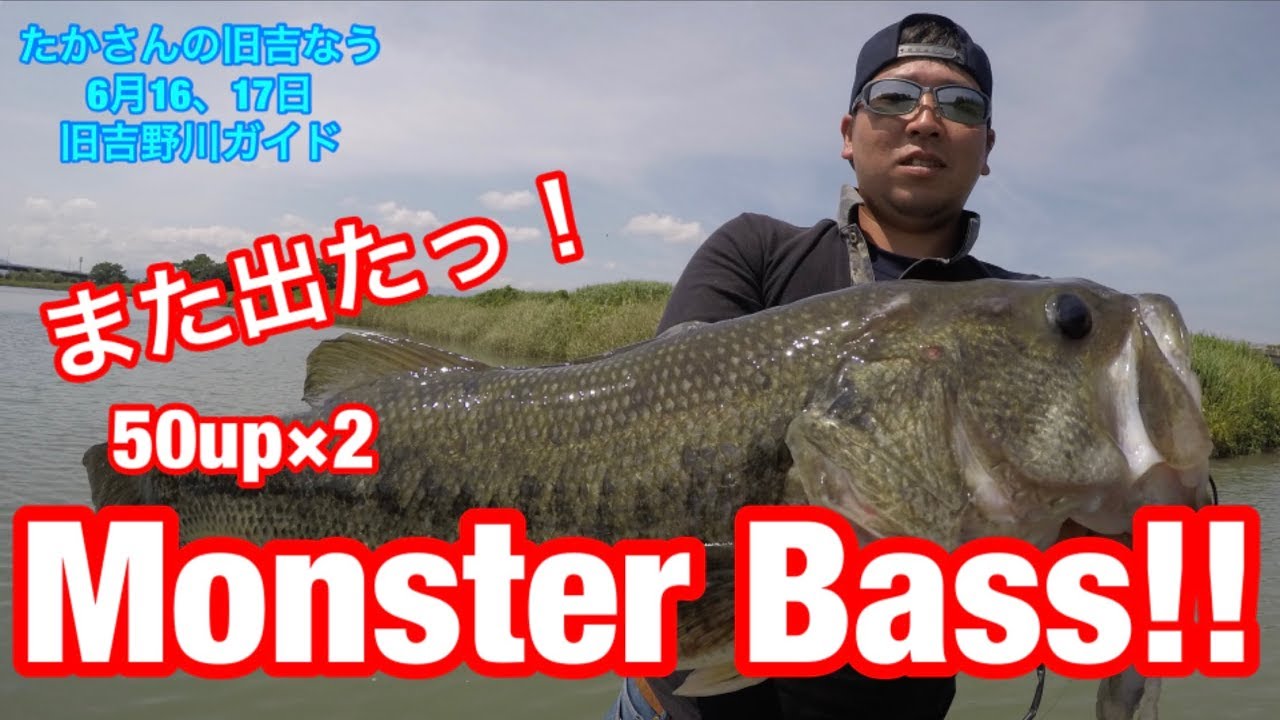 【旧吉野川ガイド】6月16、17日~50up&times;2!!また出た!Monster Bass!!【バス釣り】