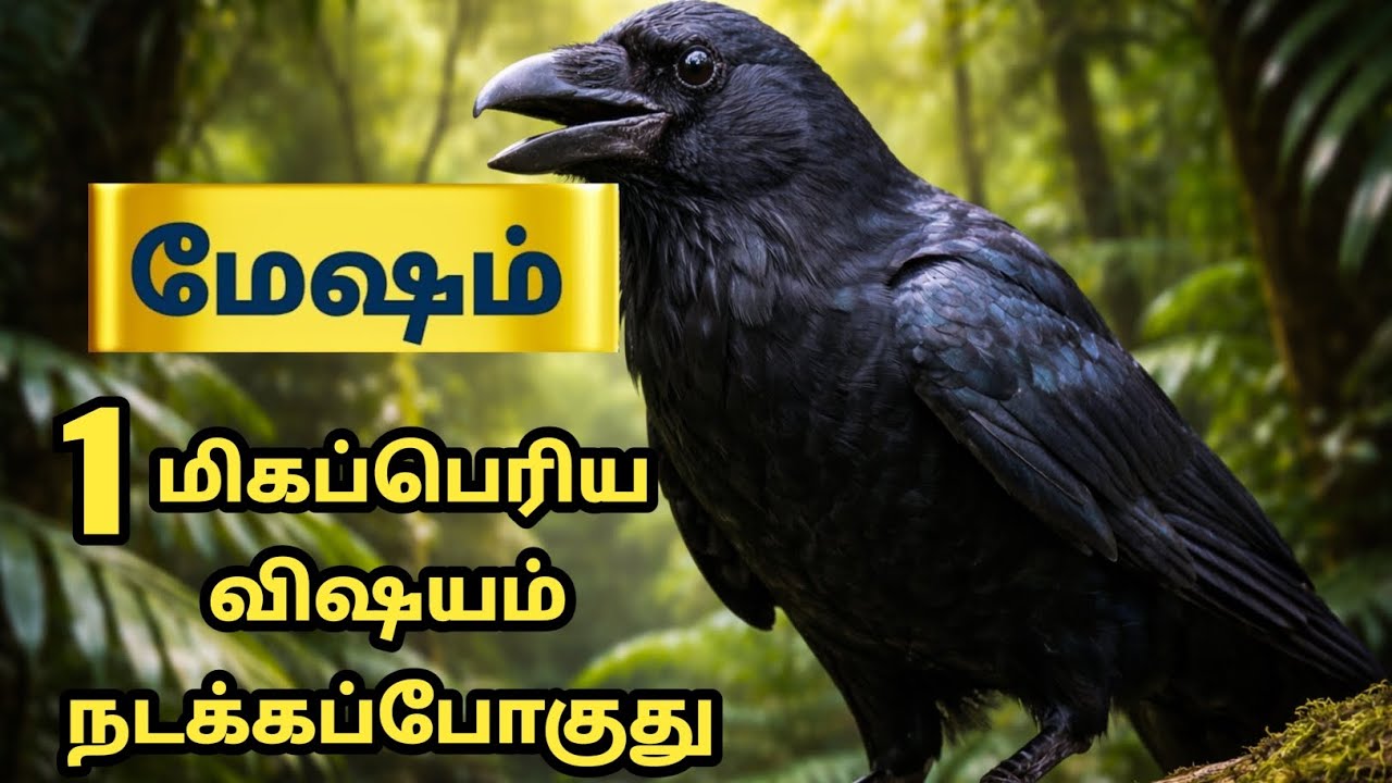 மேஷம் ராசி ⚡ 1 மிகப்பெரிய விஷயம் நடக்கபோகுது | Siddhar Message | Mesham - 2026