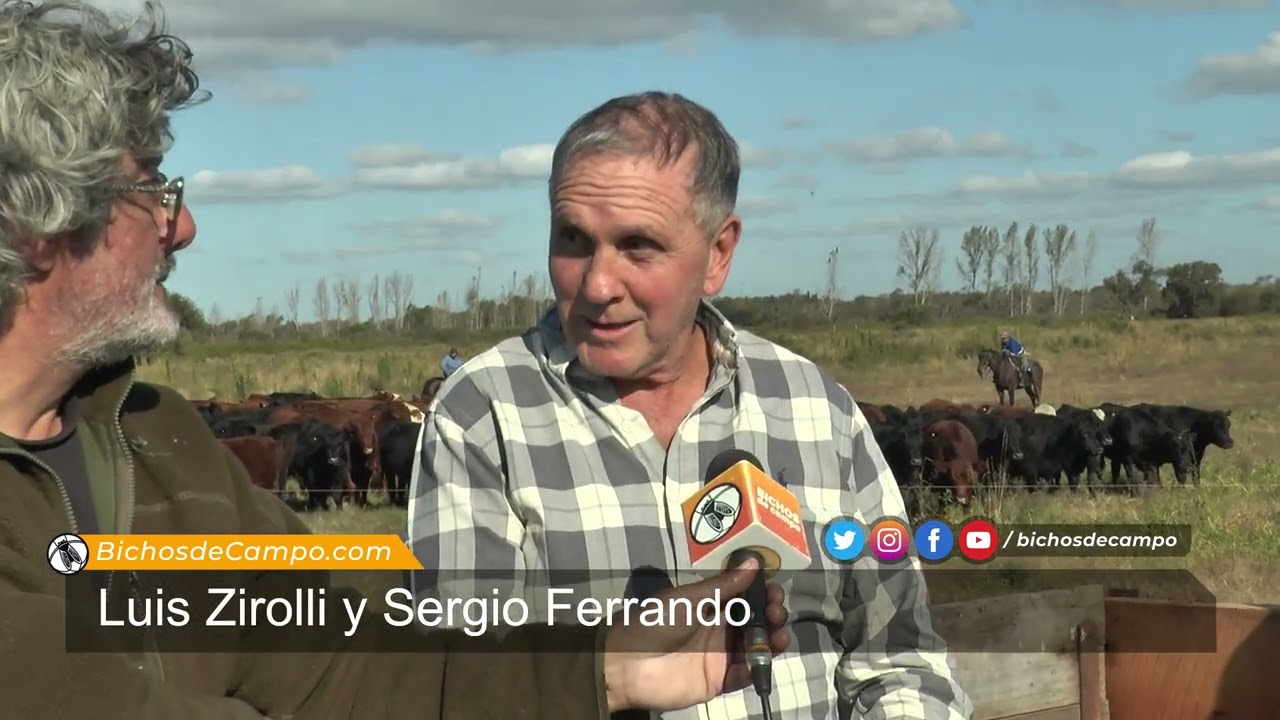 Luis Zirolli y Sergio Ferrando, productores ganaderos en el Delta entrerriano