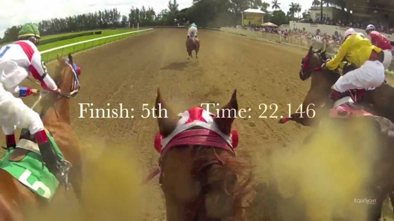 Hialeah Park Quarter Horse Jockey Cam: EquiSight Ride the Race in HD