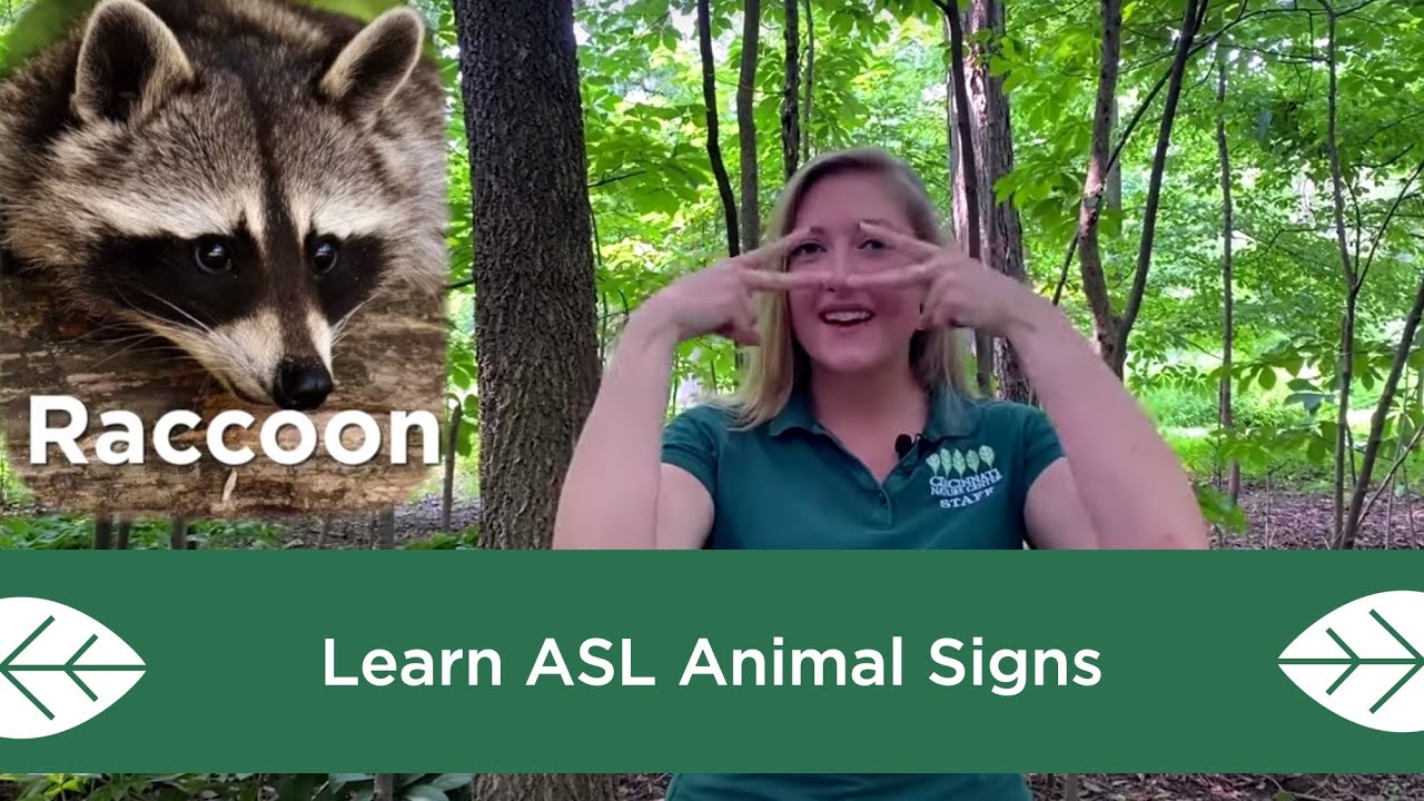 Learn ASL Animal Signs