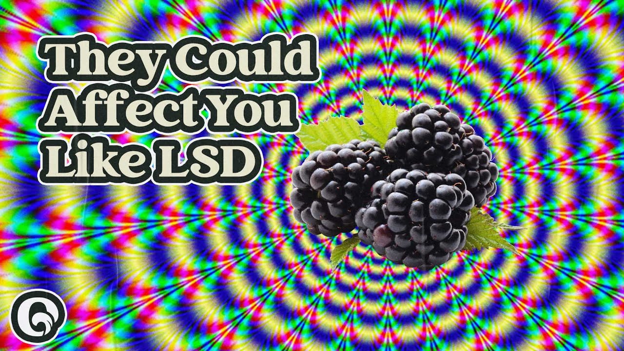 Foods That Make You Hallucinate