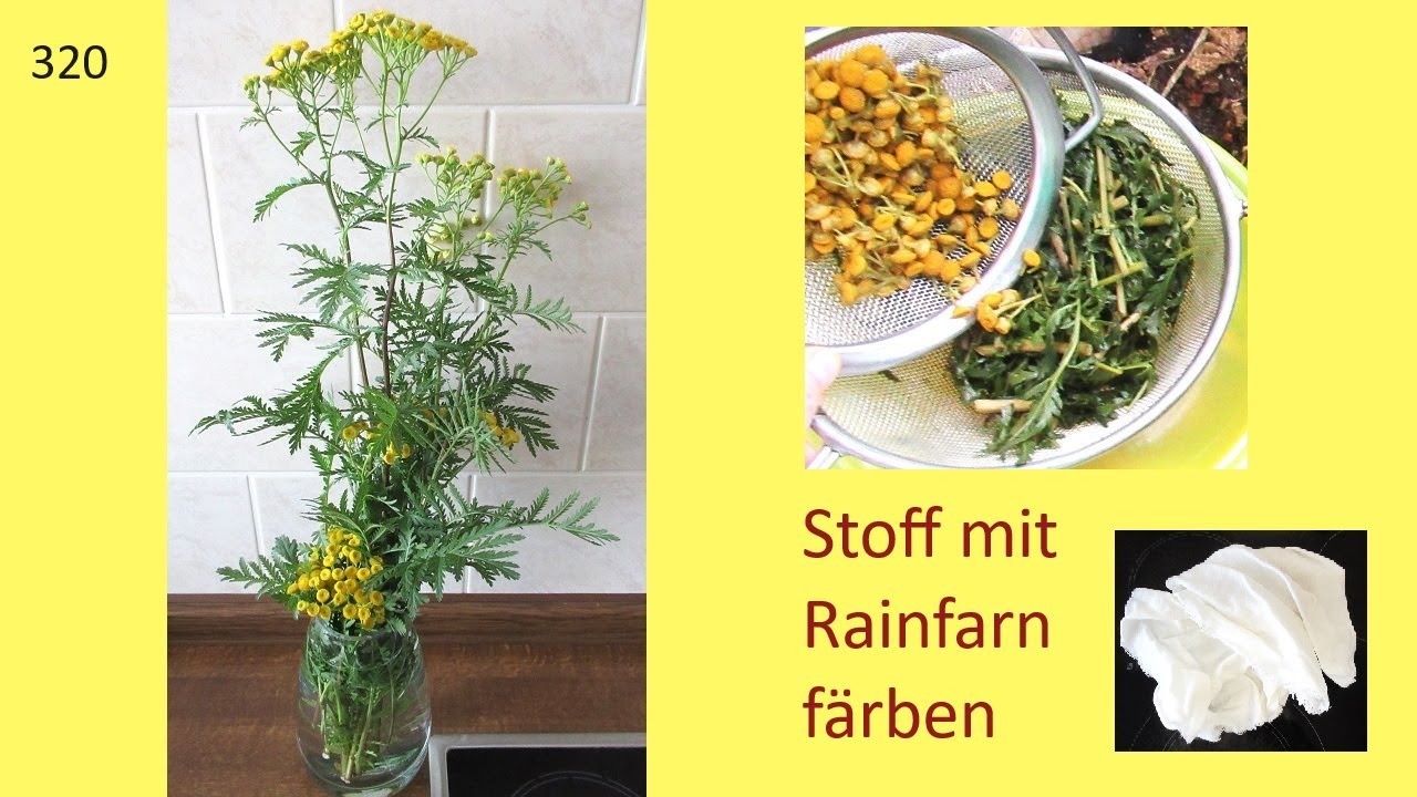 mit Rainfarn Stoff f&auml;rben - 2 auf einen Streich #Video320