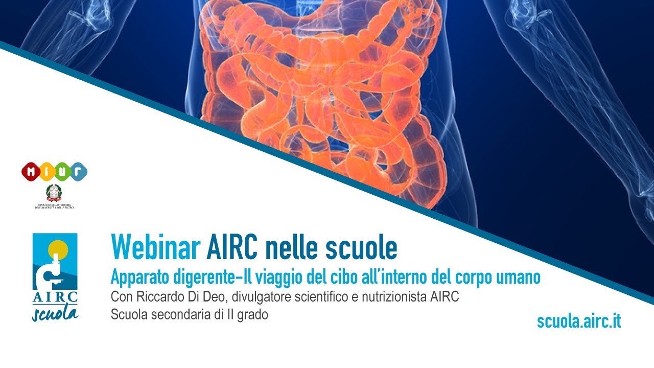 Apparato digerente, webinar con Riccardo Di Deo, divulgatore scientifico e nutrizionista AIRC