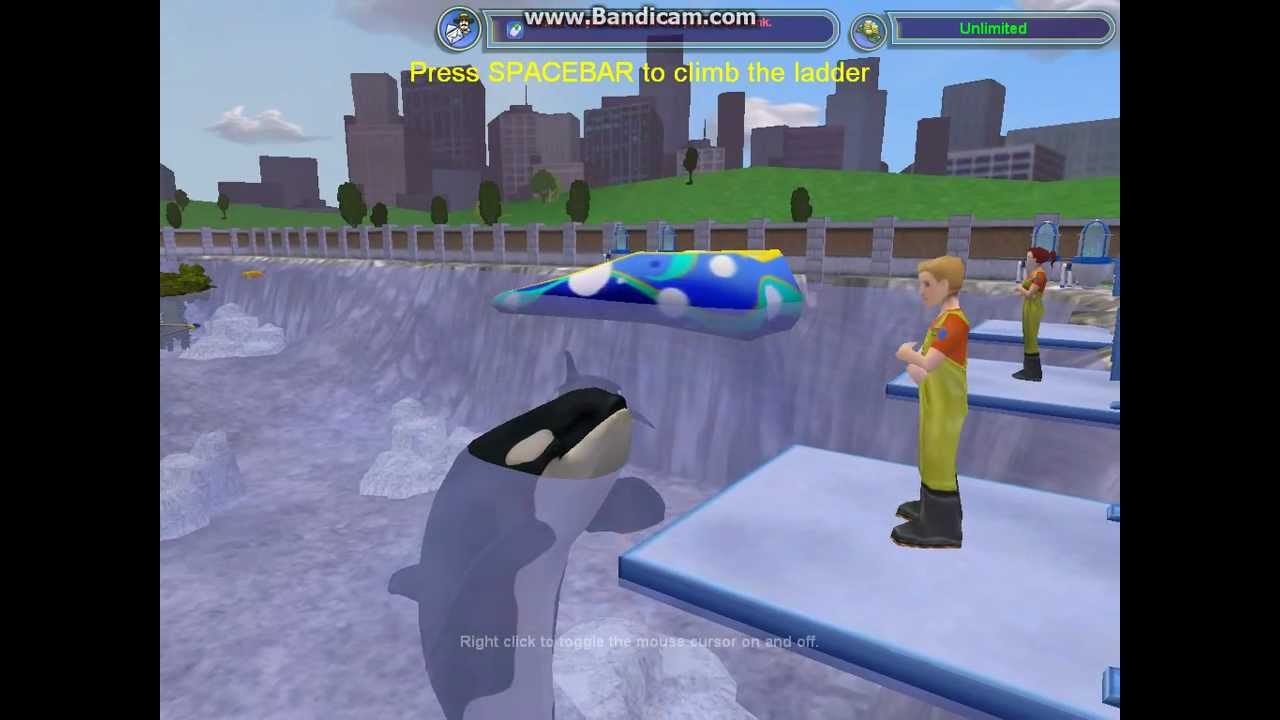 ZT2: Orca Training Session