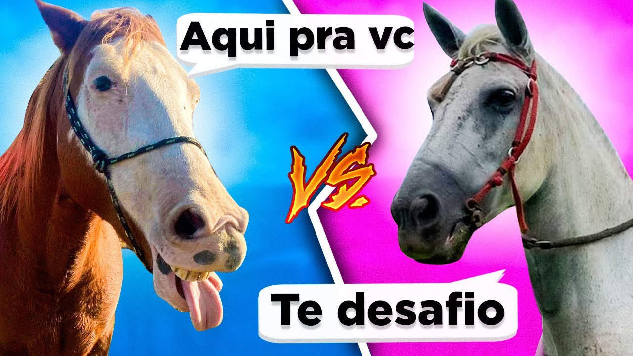 ÉGUA BAILARINA desafiou o CAVALO MUSTANG do STARLEY REZENDE