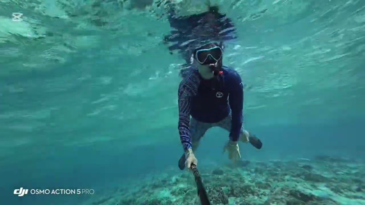 Exploring Lombok, Gili Trawangan - Hiking + Snorkeling #gilit #trawangan #lombok #hiking #snorkeling