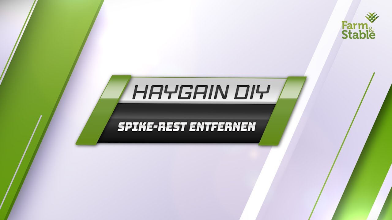 Haygain Heubedampfer - Wie entferne ich einen abgebrochenen Spike?