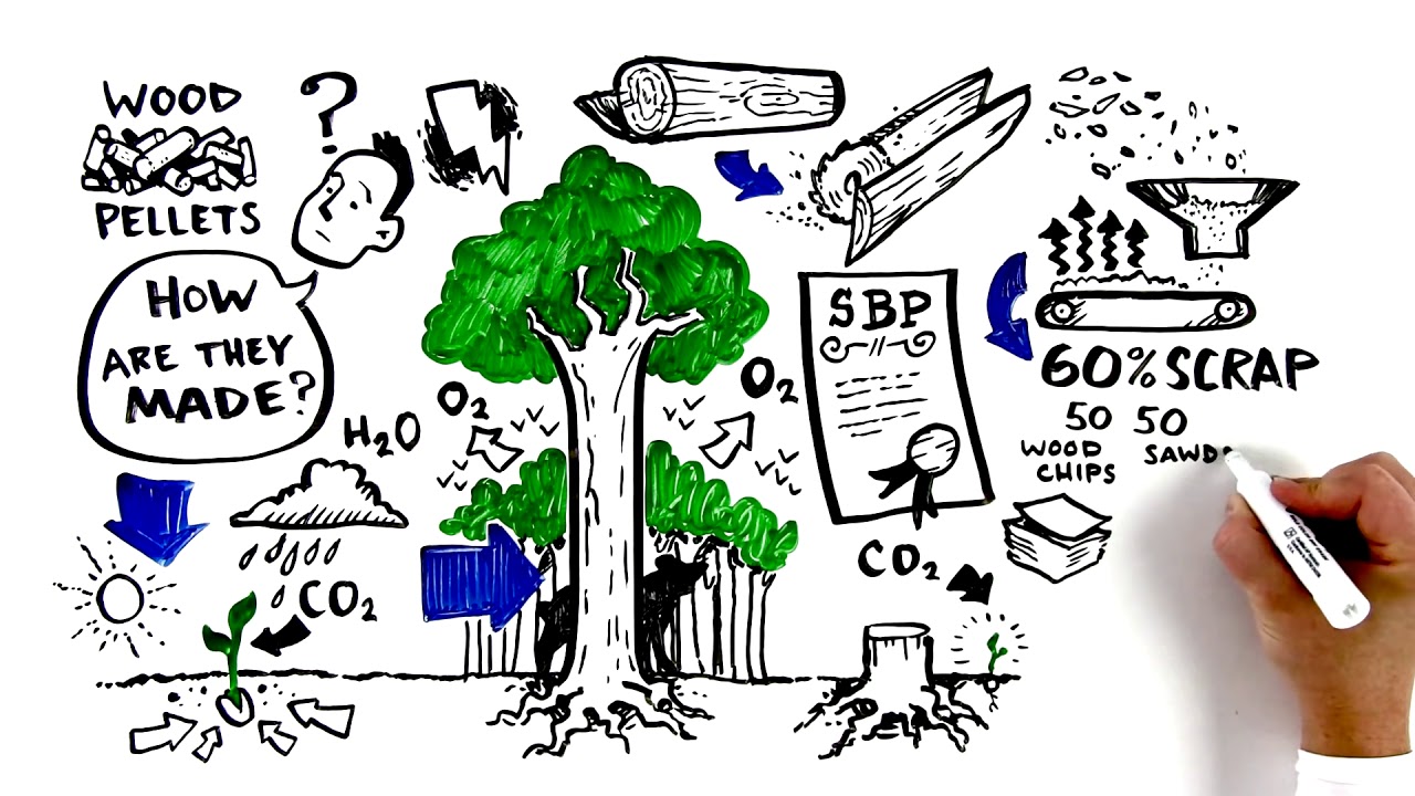 Learn How Pellets Are Made