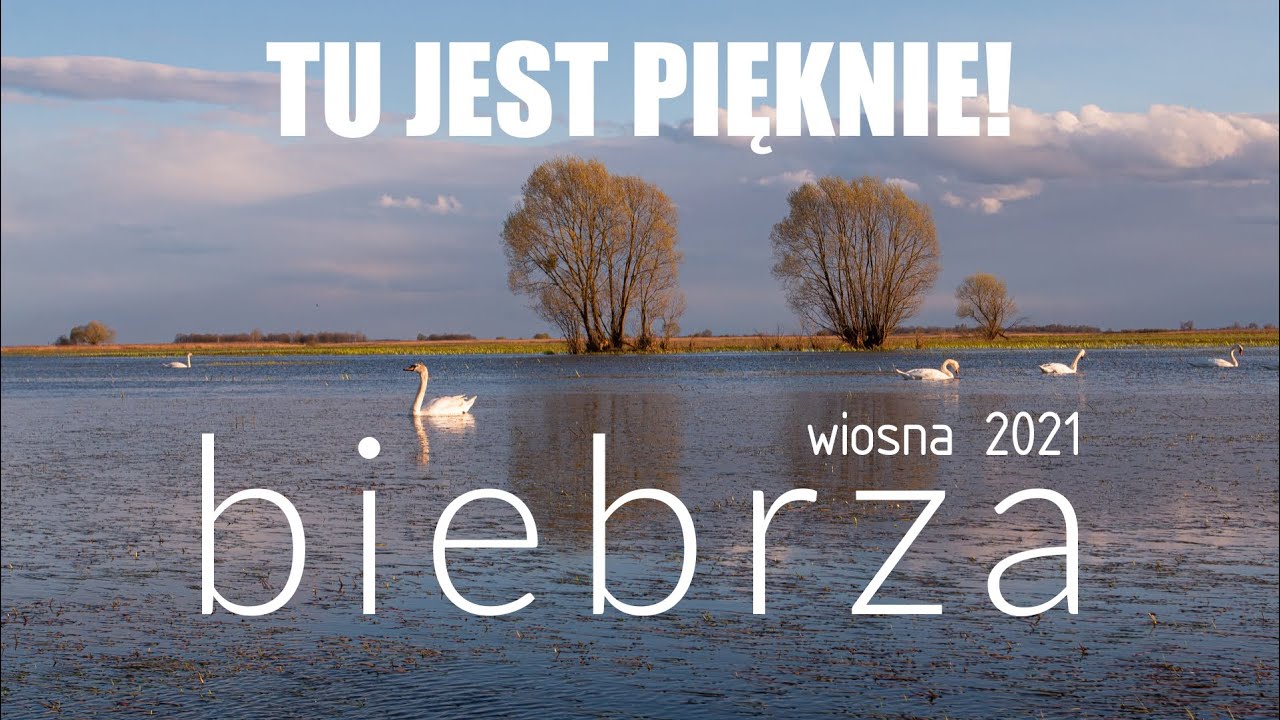 Wiosenne rozlewiska nad Biebrzą  // TU JEST PIĘKNIE! #1
