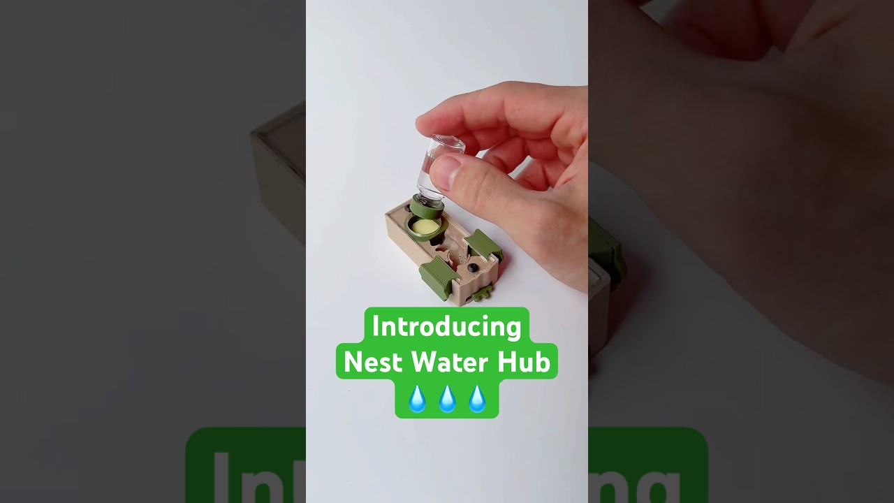 A Water Hub for your ant colony to drink from 🐜💧 #antkeeping #ants #antcolony #formicarium