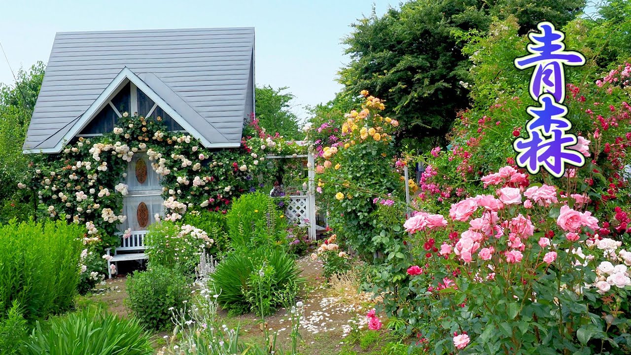 【Private Residence】Private Gardens of Citizens in Aomori Prefecture. Open Garden 2021. #4K #オープンガーデン