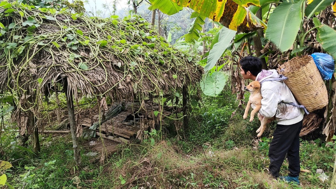 Trieu Thuan discovered an abandoned house in the forest, cleaned it up, and then stayed there.