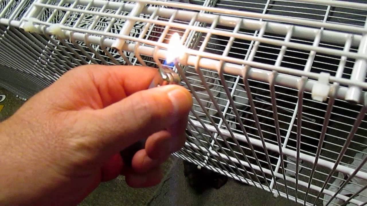 D.I.Y. ULTIMATE SUGAR GLIDER CAGE!!!!!!!!