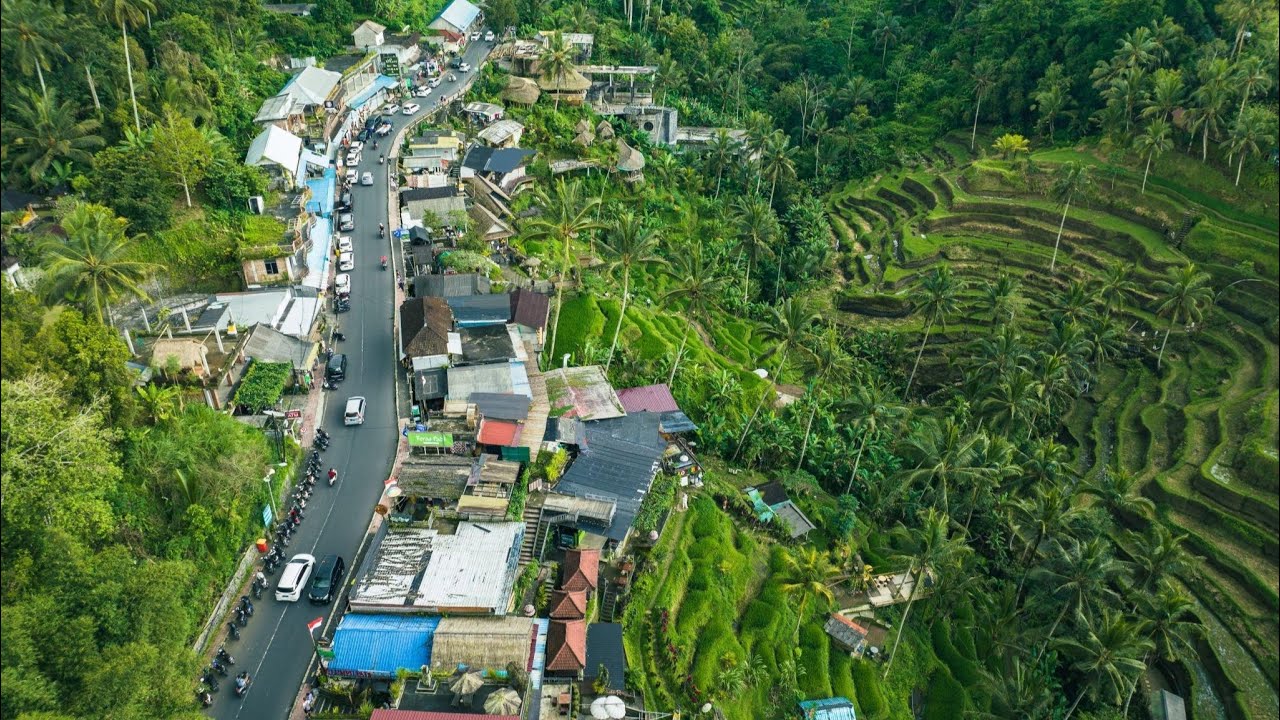 First Impressions of Bali 🇮🇩 | Airport to Ubud Road Journey