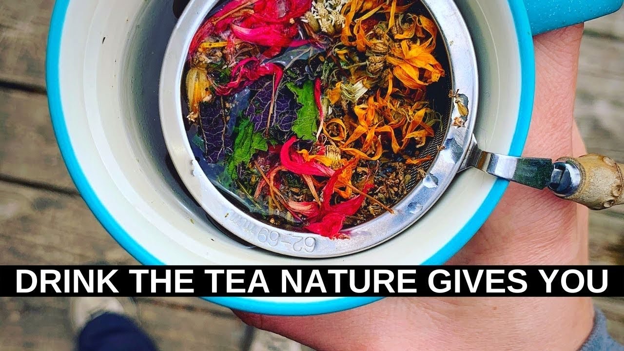 Drink the Tea Nature Gives You | VLOG