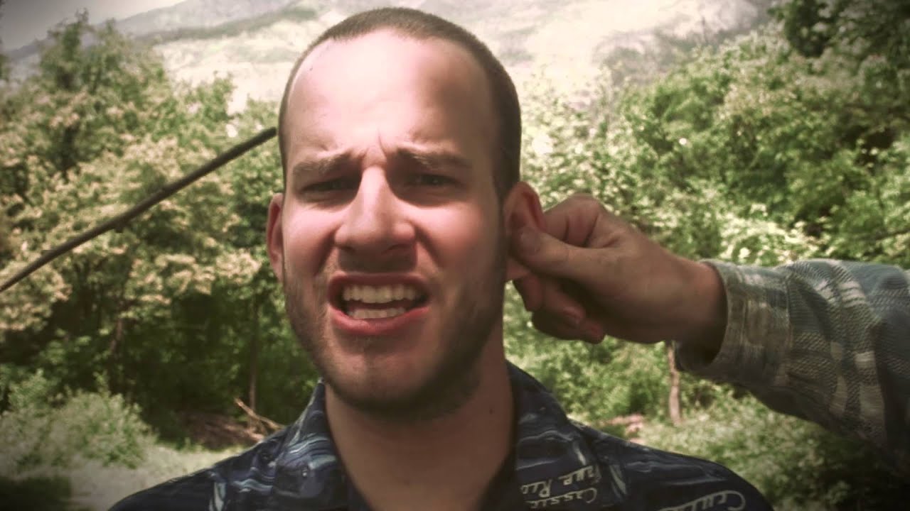 Die Nachbarn - Durchzug