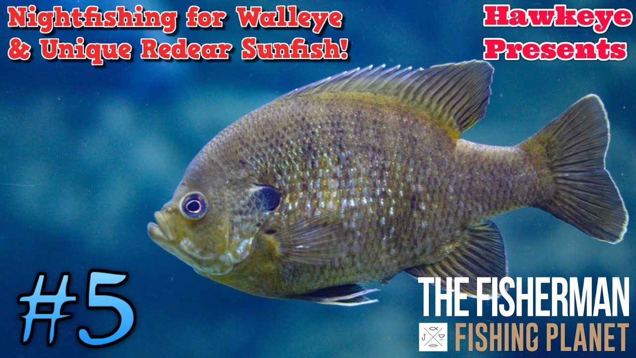 Рыболов - Fishing Planet: Ночная рыбалка на судака и уникальную красную луну-рыбу!