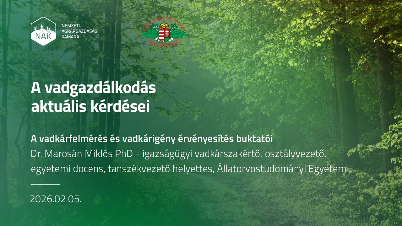 A vadkárfelmérés és vadkárérvényesítés buktatói