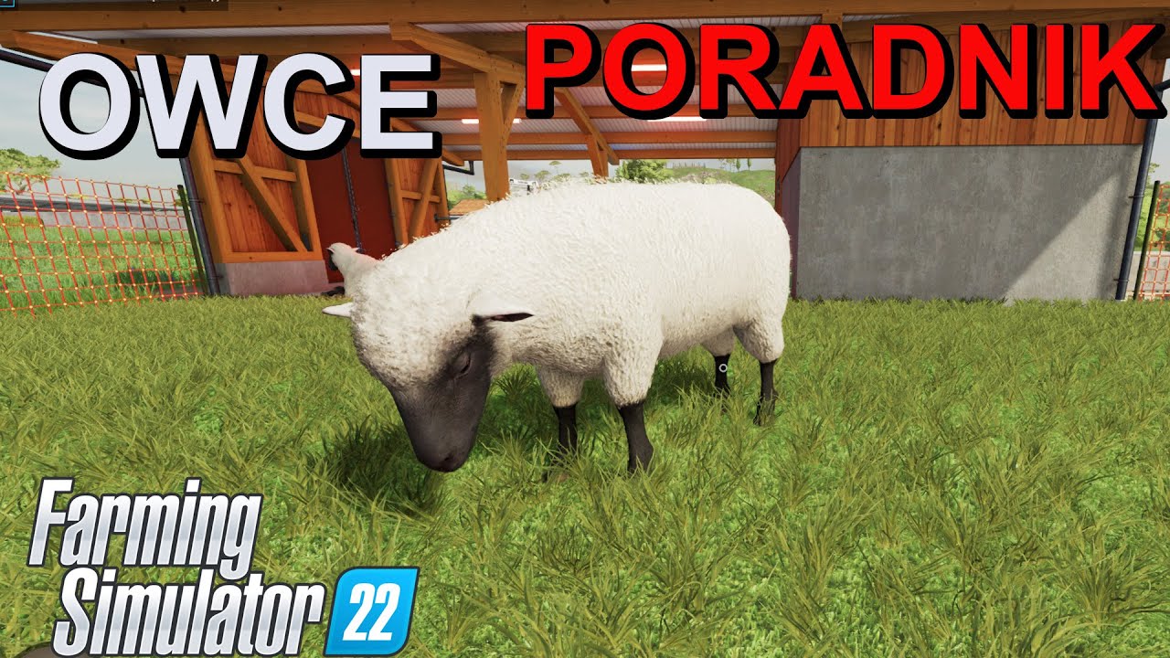 Poradnik Owce  Wełna Farming Simulator 22