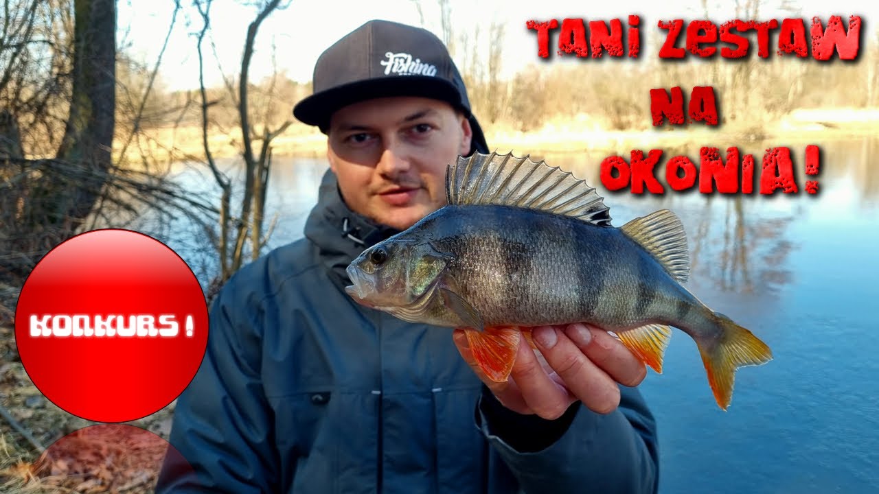 TANI ZESTAW NA OKONIA do 250zł !  Mikado Bixlite ! KONKURS !