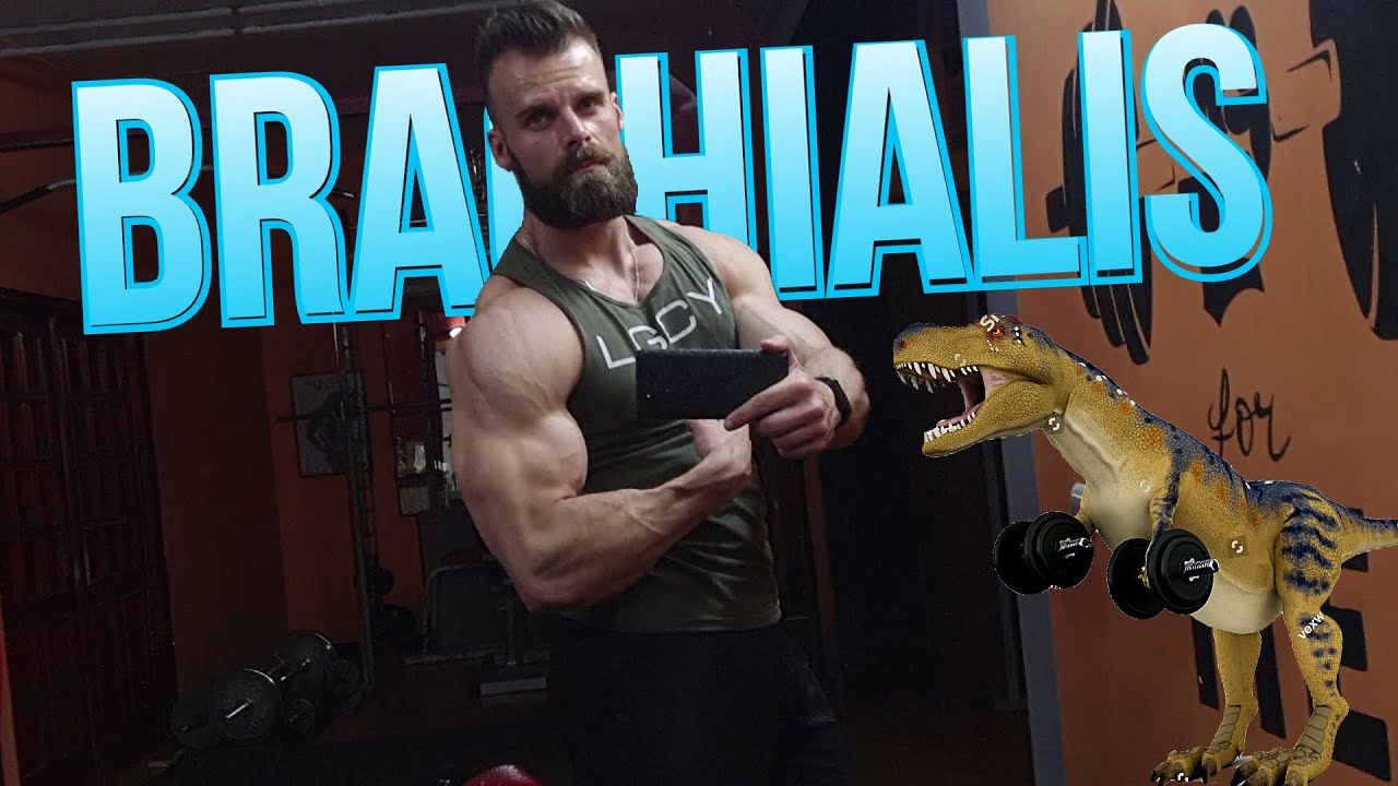Vežbe za BRACHIALIS | Večernja škola vežbanja E6