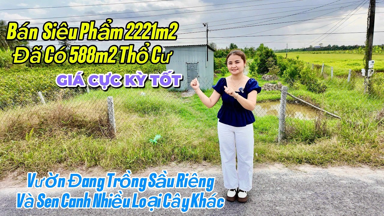 siêu phẩm đất vườn có thô cư đang trồng sầu riêng và nhiều cây khác xã nhơn phú huyện mang thít